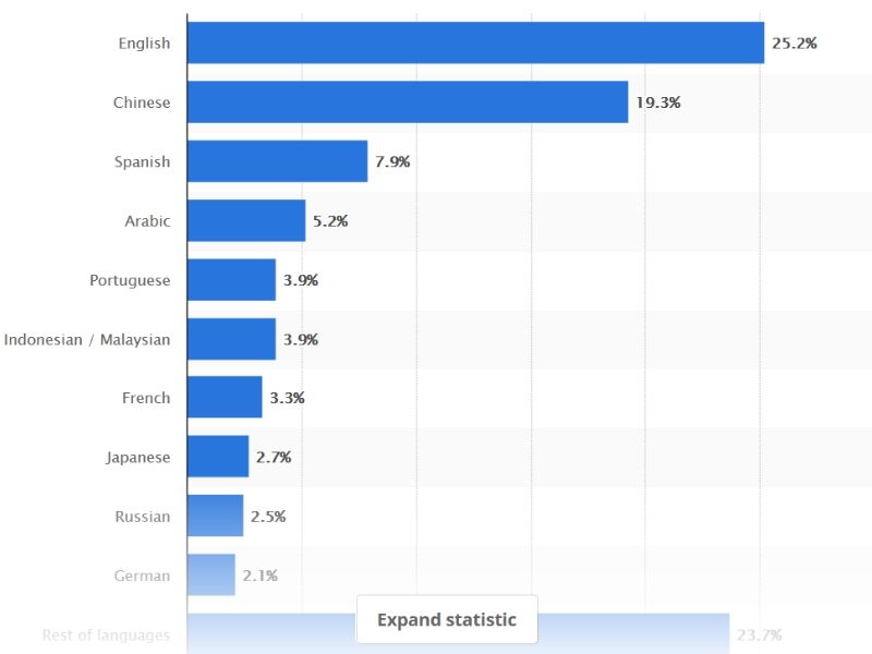 Language Use On The Internet
